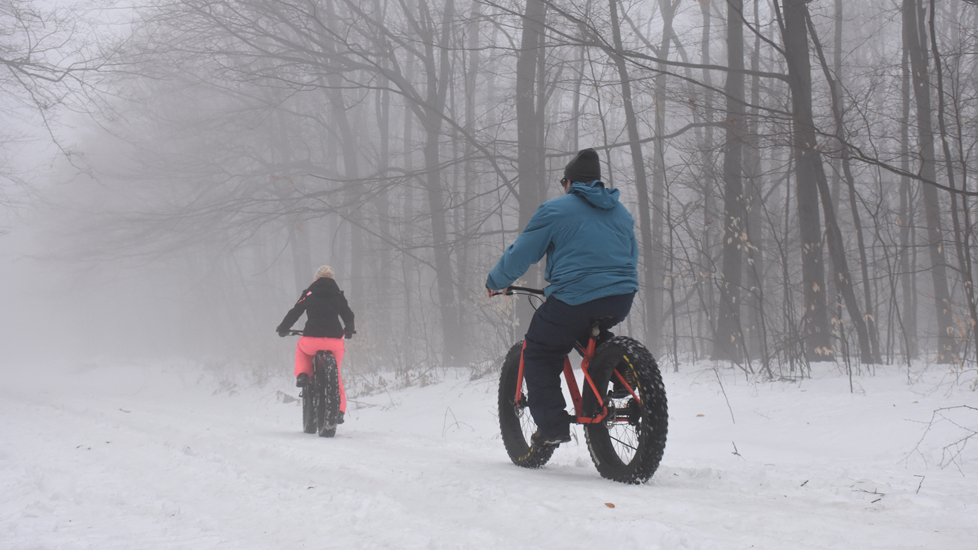 Monthly Fat Bike Rides at Allegany State Park