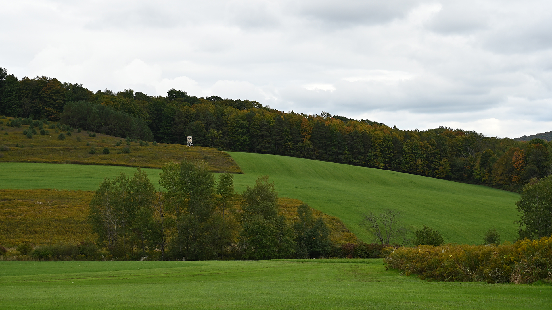 Hunting blind in a scenic field in Cattaraugus County