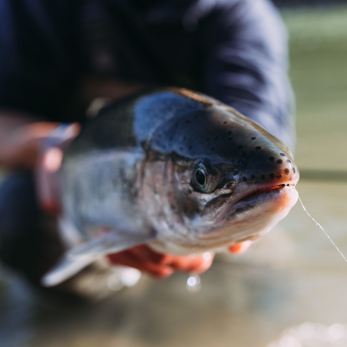 Fishing in Cattaraugus County- SeanCarr Photography