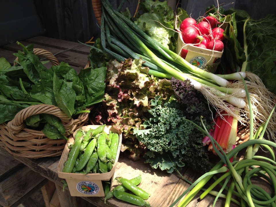 Vegetables at Canticle Farms