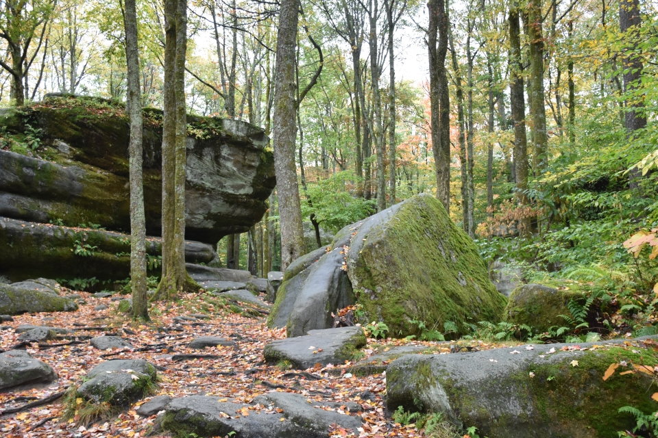 Rocks at Thunder Rocks in Allegany State Park