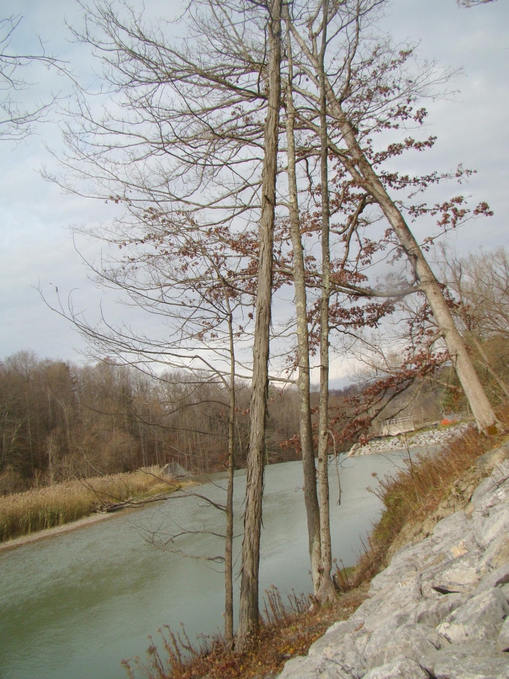 View of Scoby Dam