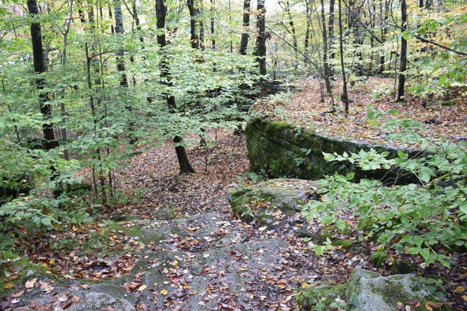 A view of an area at Little Rock City State Forest.