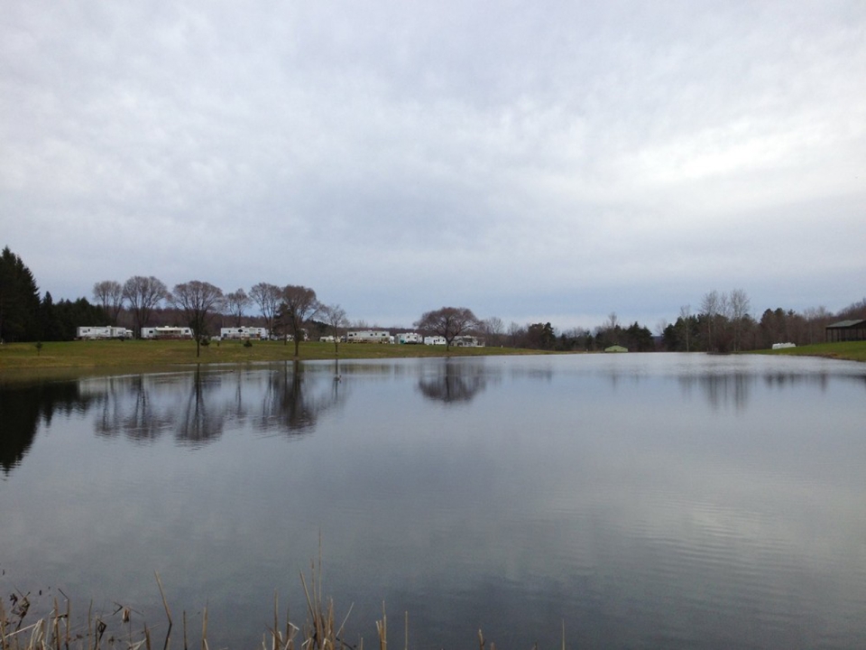 A view at the lake of some RVs at Shamrock Pines Campground