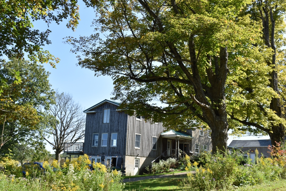 Beauty View Farm 