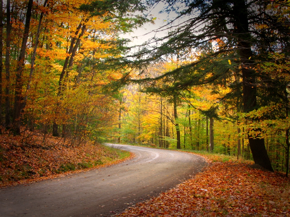 Road in the Enchanted Mountains during Autumn