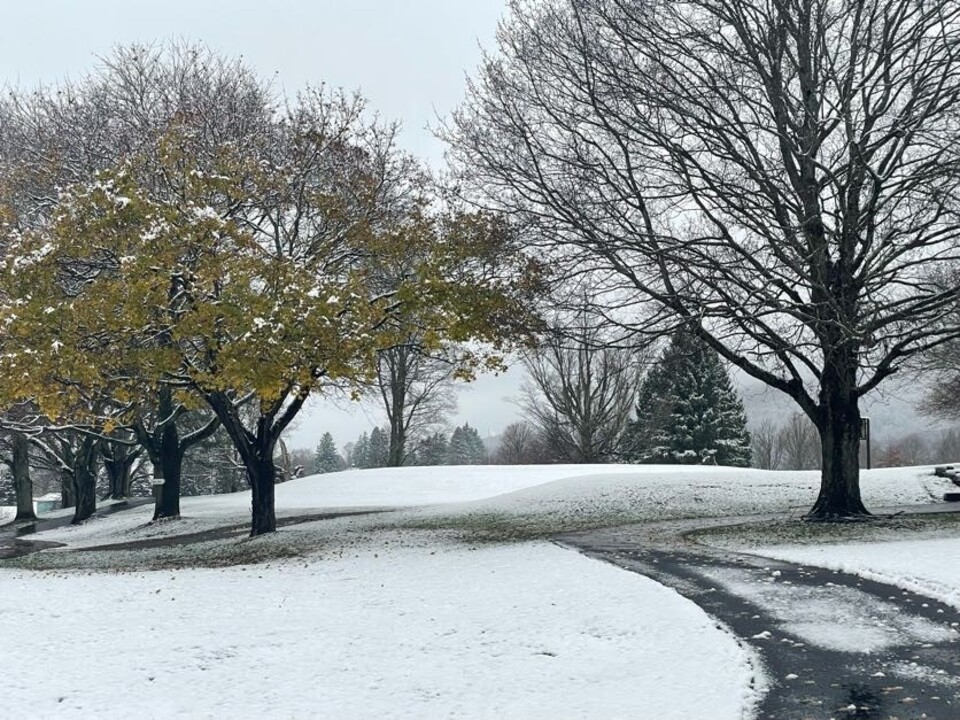 Autumn meets Winter - First snowfall of 2024 