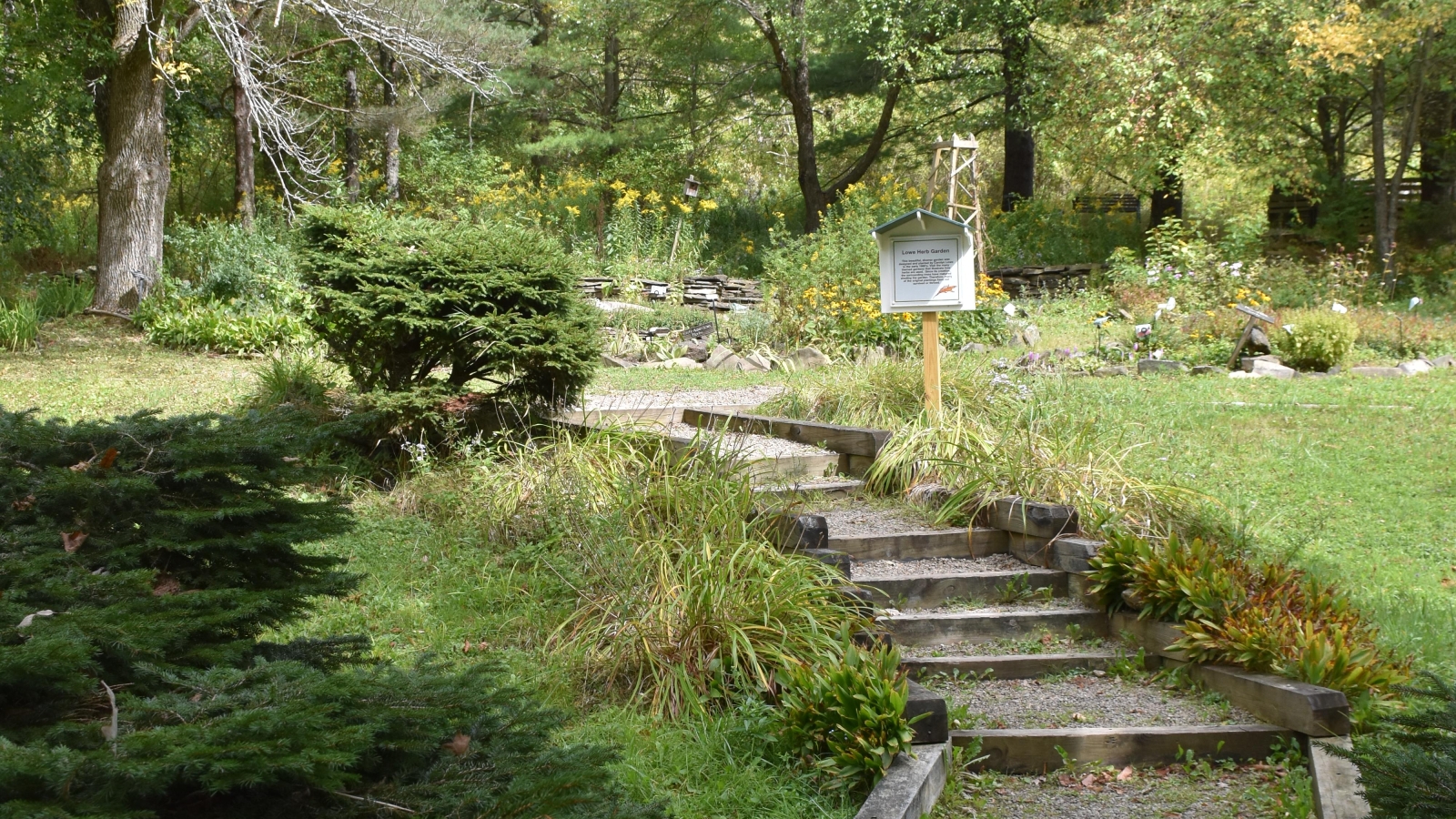 Path at Nannen