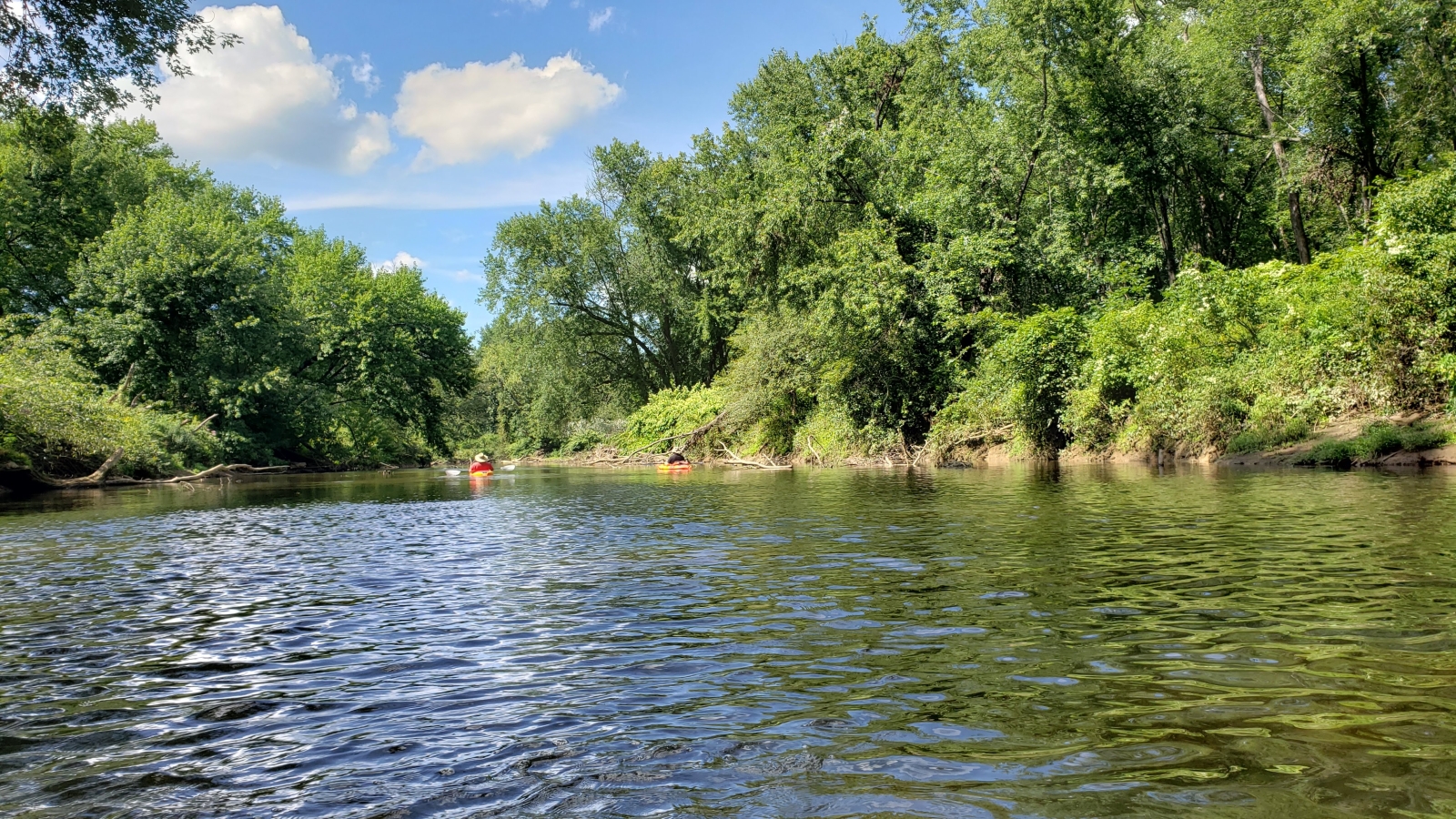 A photo of some kayakers on the Tunungwant Creek during the 2021 Tame the Tuna Regatta