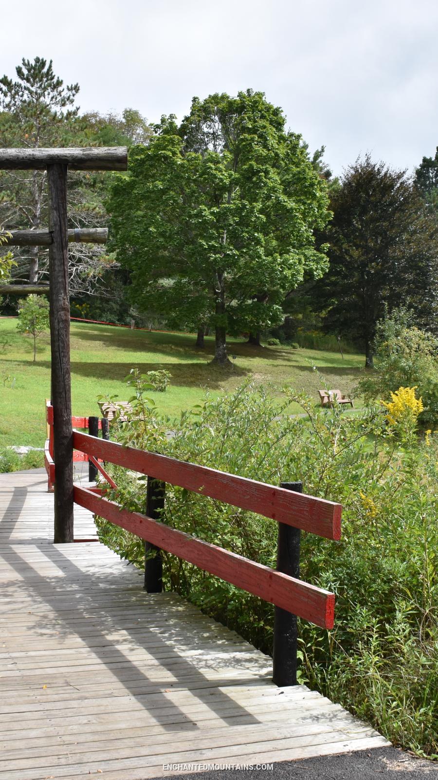 Walking at Nannen Arboretum