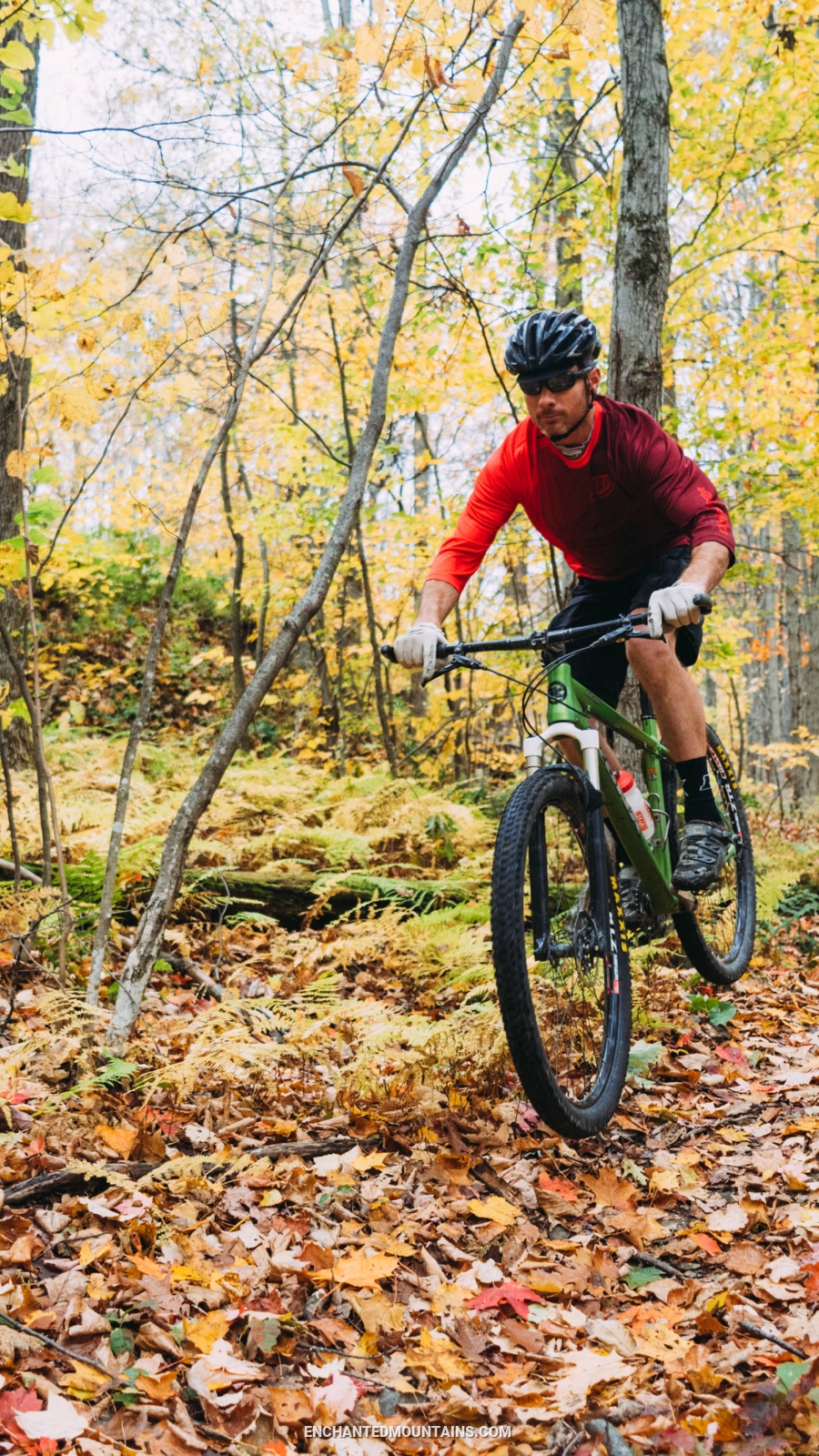 Mountain Biking near Little Rock City in Cattaraugus County