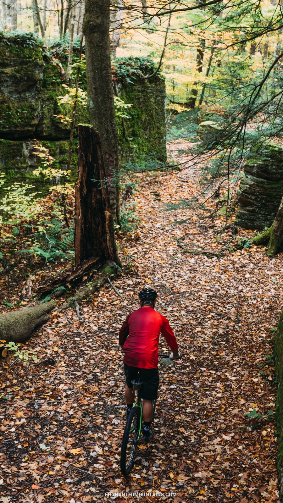 Mountain biker at Little Rock City State Forest