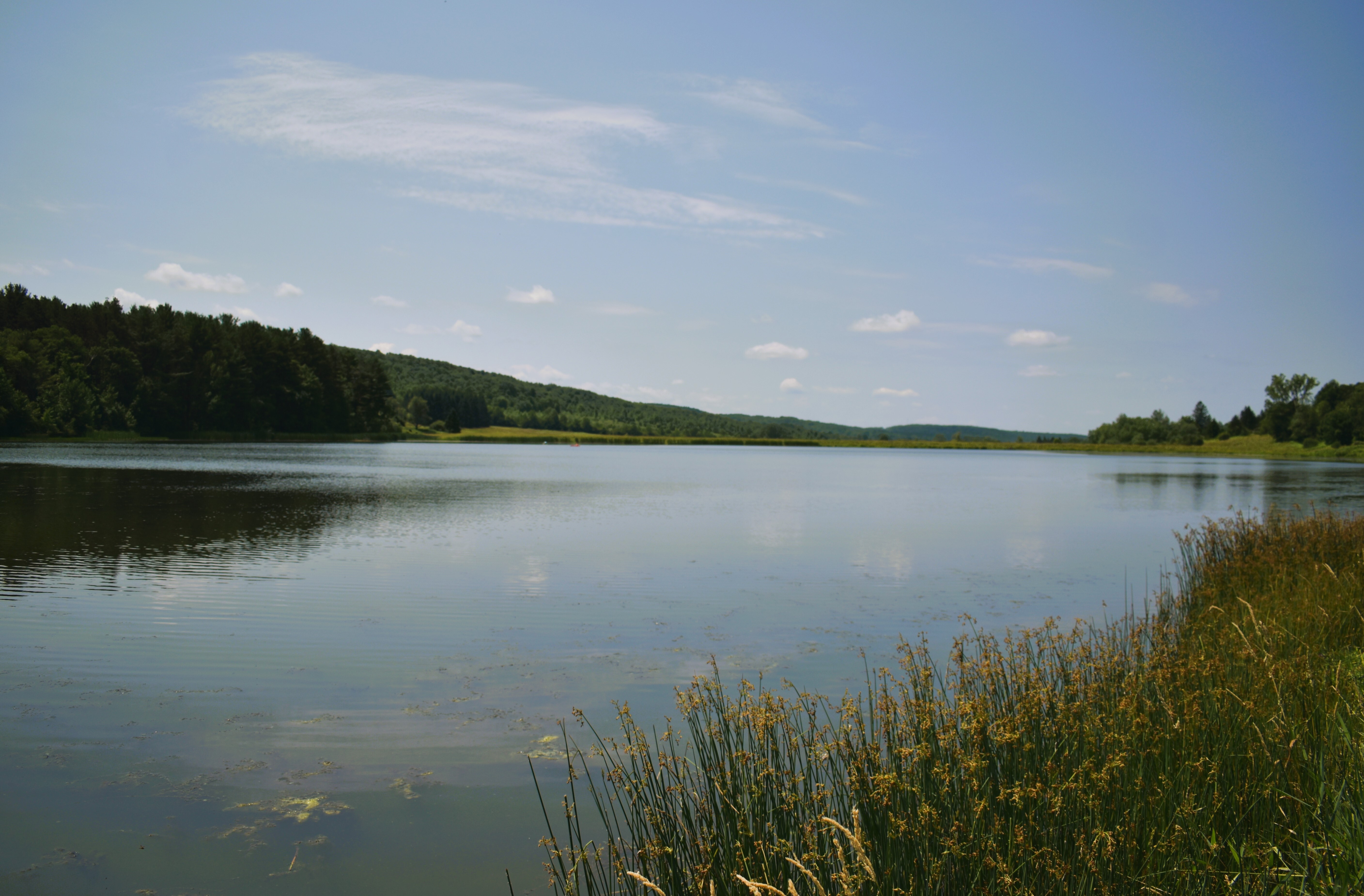 Harwood Lake