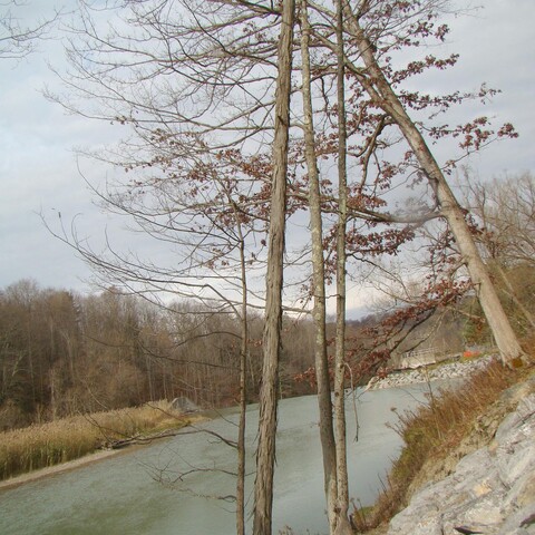 View of Scoby Dam