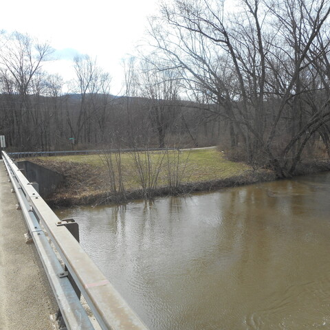 Allegheny River