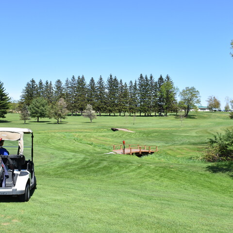 Golf cart and course at Birch Run Golf Course