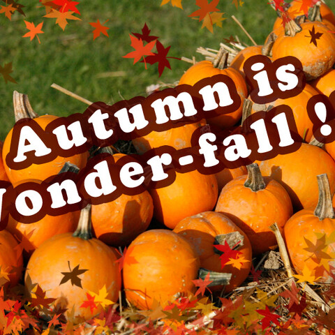 Autumn is Wonder-fall