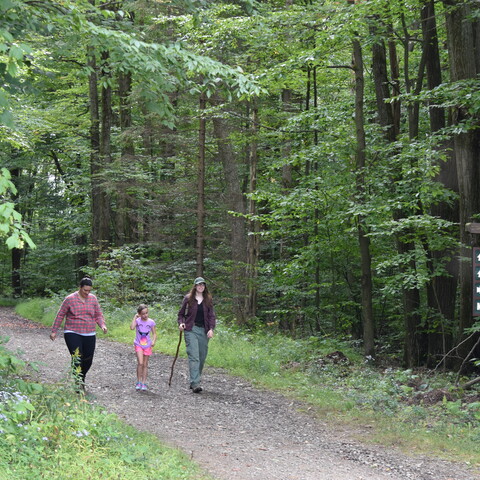 Hiking at Allegany State Park