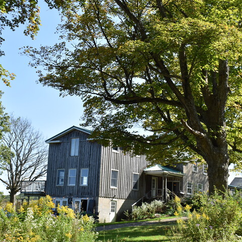 Beauty View Farm 