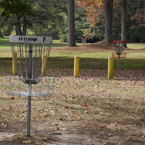 Disc golf at Gargoyle Park in Olean