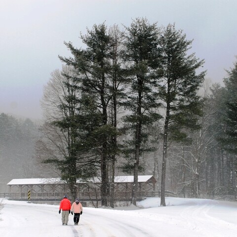 Winter hiking at Allegany State Park