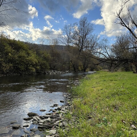 Ischua Creek next at Campground Adventures