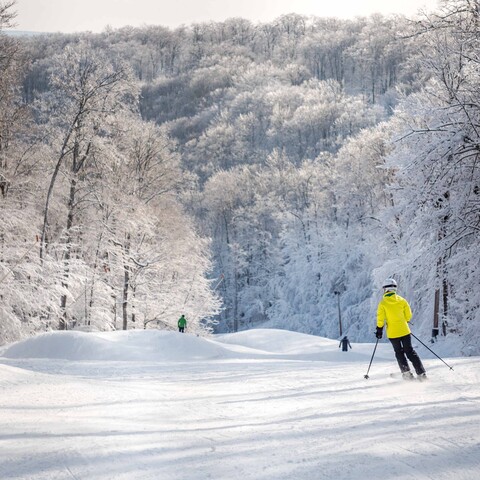 Skiier at Holiday Valley