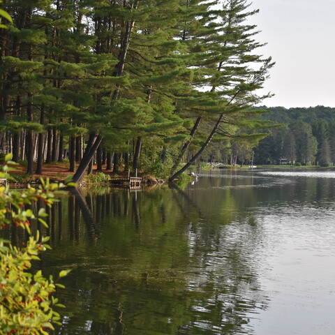 Beautiful view at Rainbow Lake