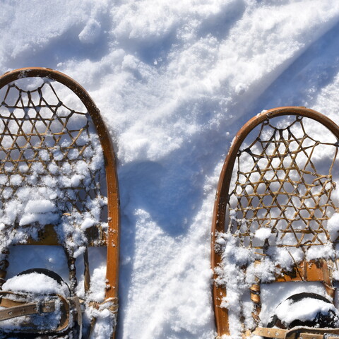 Snowshoes