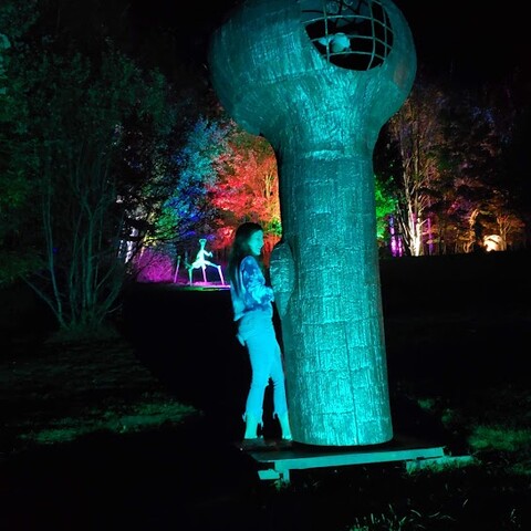 Night Lights at Griffis Sculpture Park