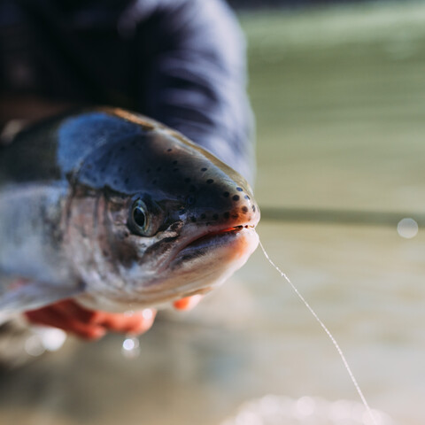 Fishing in Cattaraugus County- SeanCarr Photography