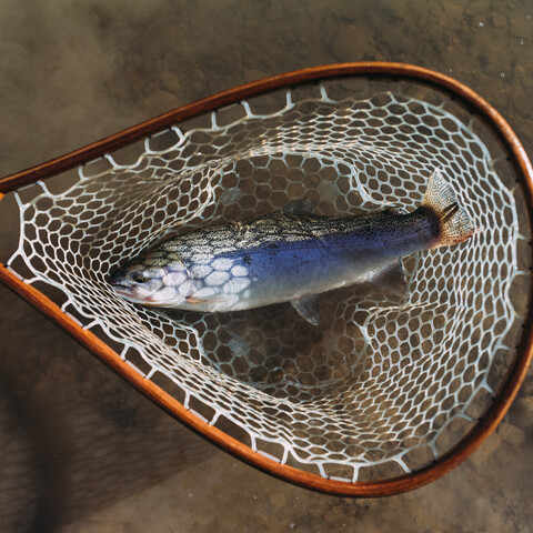 Fishing on the Cattaraugus Creek