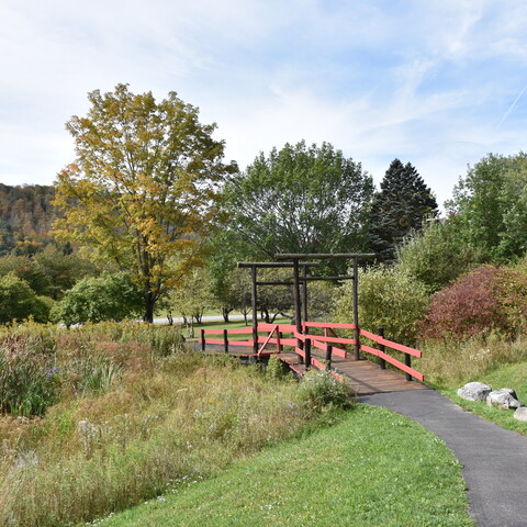 Pond at Nannen Arboretum