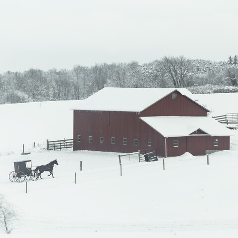 Amish Trail in the Winter