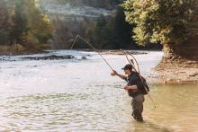 Fly fishing on the Catt Creek