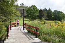 Walking at Nannen Arboretum