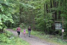 Hiking at Allegany State Park