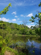 Eshelman Pond - Eshelman area of Pfeiffer Nature Center